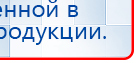 СКЭНАР-1-НТ (исполнение 02.2) Скэнар Оптима купить в Ангарске, Аппараты Скэнар купить в Ангарске, Дэнас официальный сайт denasdoctor.ru